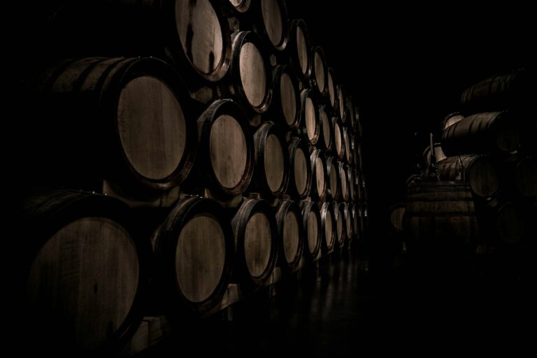 Las cinco bodegas de Menorca: guía completa de vinos de la isla